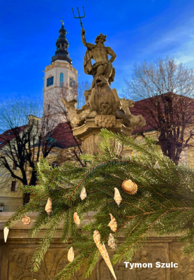Świdnica zachęca do świątecznego dekorowania domów i balkonów oraz fotografowania miasta - 0