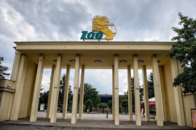 &bdquo;Mozart&rdquo; we wrocławskim ZOO