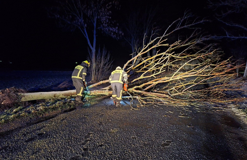 Niespokojna noc na Dolnym Śląsku, strażacy interweniowali niemal 200 razy - fot. OSP Zagrodno