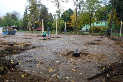 Farma koniowatych... w zoo - 1