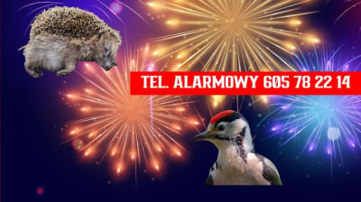 Wrocławska Ekostraż na ratunek czworonożnym ofiarom fajerwerk&oacute;w
