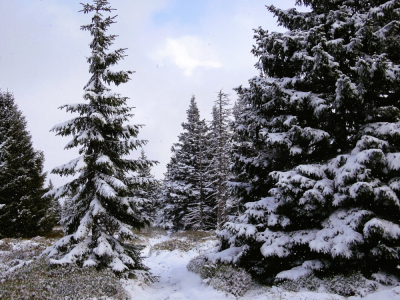 W Karkonoszach opady śniegu, szlaki są oblodzone
