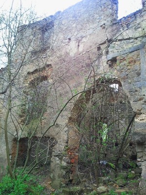 XIII-wieczny zamek się wali (Zobacz) - 9