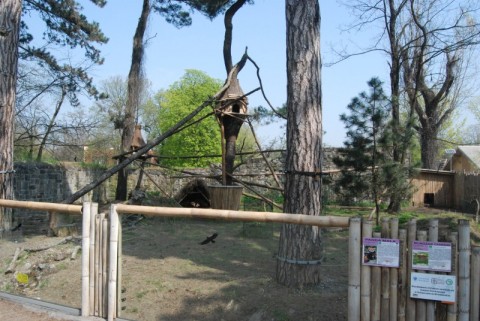 Wrocławskie Zoo coraz piękniejsze - 3