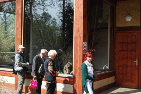 Wrocławskie Zoo coraz piękniejsze - 6
