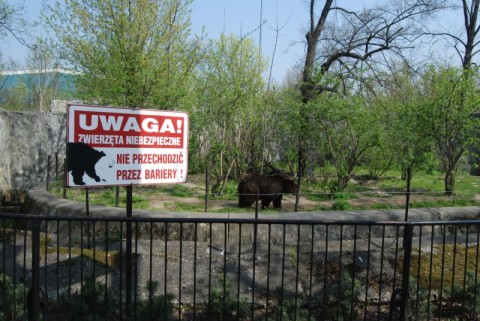 Wrocławskie Zoo coraz piękniejsze - 8
