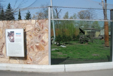 Wrocławskie Zoo coraz piękniejsze - 9