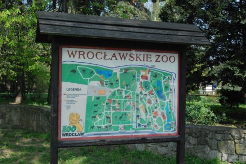Wrocławskie Zoo coraz piękniejsze - 20