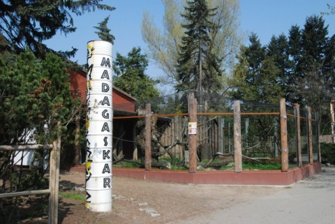 Wrocławskie Zoo coraz piękniejsze - 21