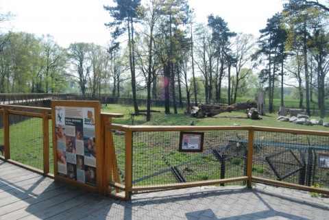 Wrocławskie Zoo coraz piękniejsze - 24