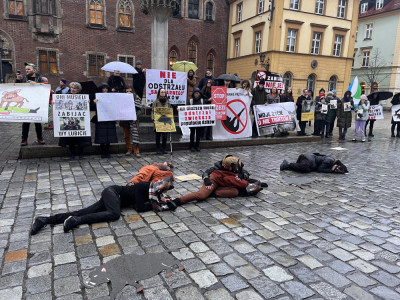 Protest ekologów na wrocławskim Rynku