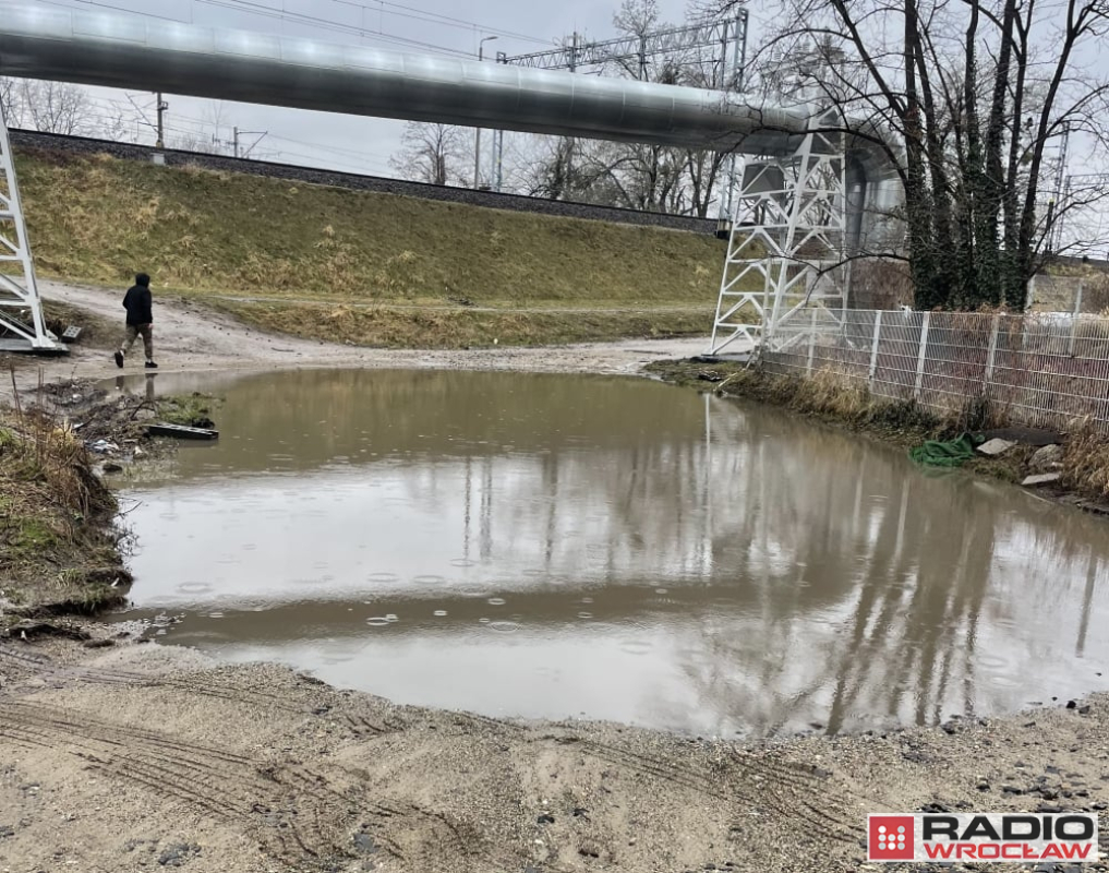 "Jeziorko na Tęczowej" zniknęło z map - fot. archiwum radiowroclaw.pl