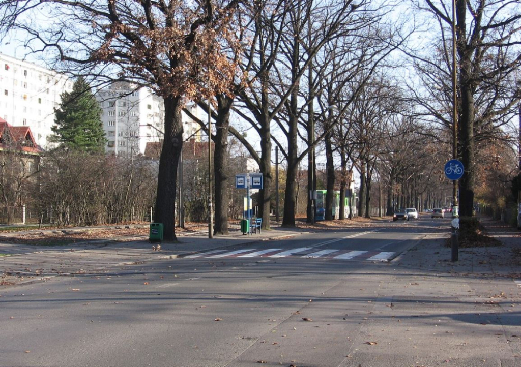 Droga na wrocławskim Biskupinie doczeka się remontu  - ul. Olszewskiego - fot. Wikipedia/Julo - praca własna