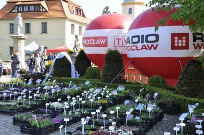 DRJ zawitał do Zamku Książ - 9