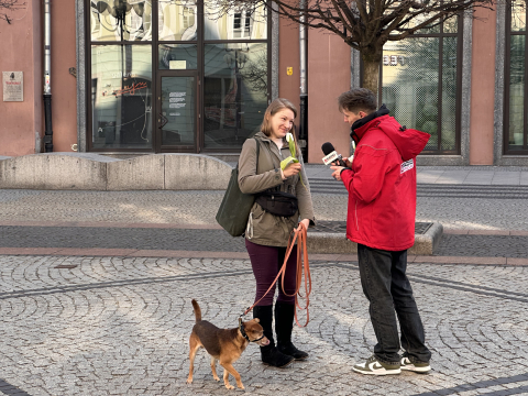 Radio Wrocław #TuliPanie - byliśmy na wrocławskim rynku! - 9