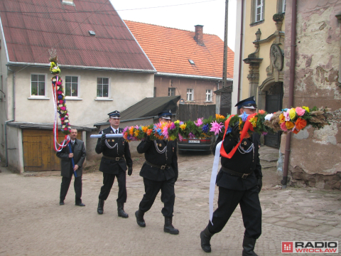 W Chełmsku Śląskim robią już kilkunastometrowe palmy - 5