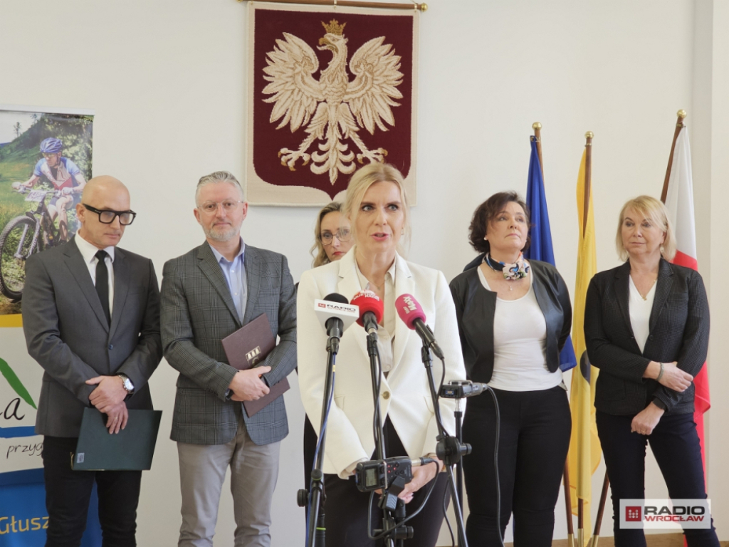 Asystent niepełnosprawnych w Głuszycy pomoże posprzątać dom i zrobić zakupy - fot. Bartosz Szarafin