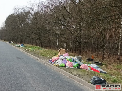 Apelują o pieniądze na usuwanie dzikich wysypisk