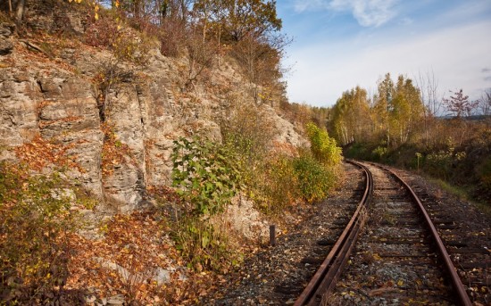 Wrócą pociągi do Kudowy-Zdroju - 11
