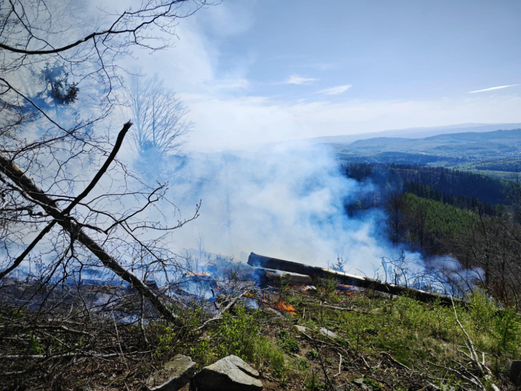 Płonie las w okolicy Bielawskiej Polanki w Górach Sowich - fot. FB Nadleśnictwo Jugów 