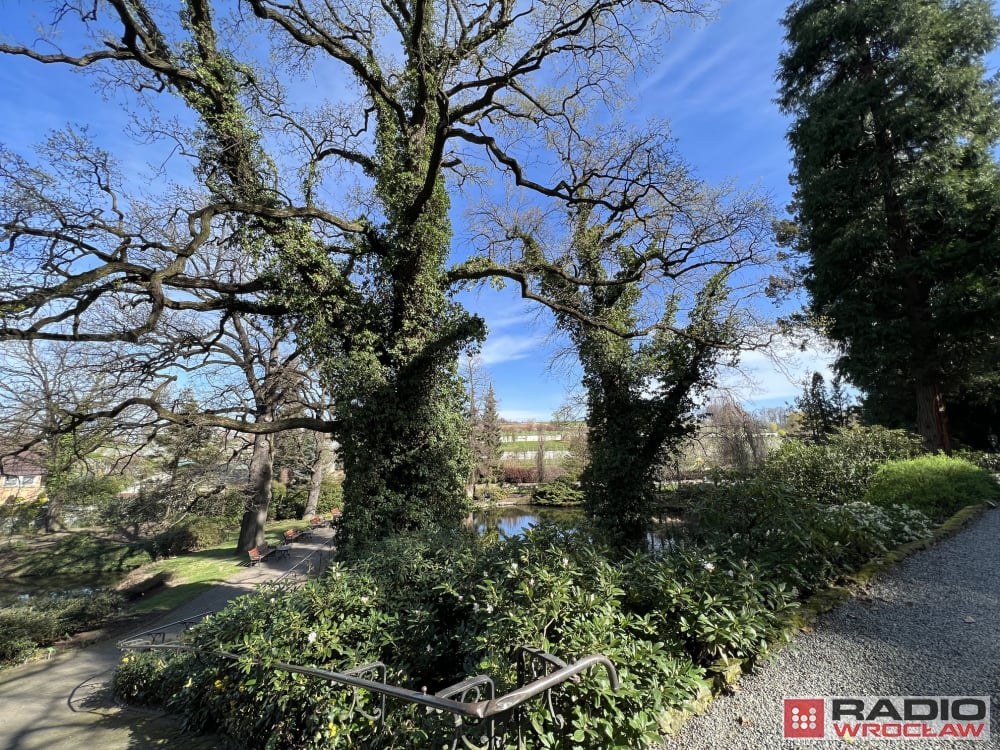 Wiosna już tu jest. Po zimowej przerwie otwiera się Arboretum w Wojsławicach – fot. Aleksander Ogrodnik / Radio Wrocław