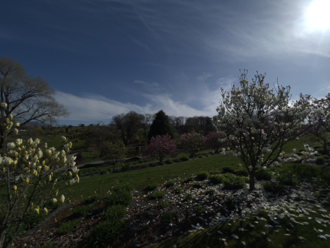 Wiosna już tu jest. Po zimowej przerwie otwiera się Arboretum w Wojsławicach - 1
