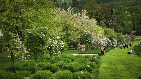 Frekwencja zaskoczyła. Tysiące turystów na otwarciu Arboretum w Wojsławicach - 8