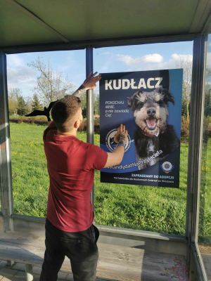 Trwa kampania wyborcza... we Wrocławskim Schronisku dla Bezdomnych Zwierząt - 3