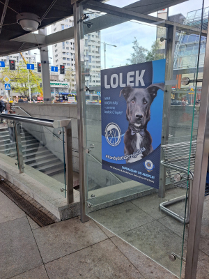 Trwa kampania wyborcza... we Wrocławskim Schronisku dla Bezdomnych Zwierząt - 4
