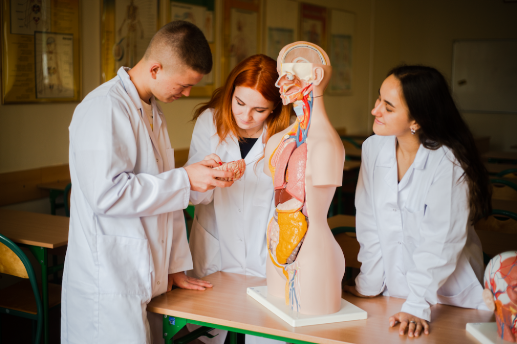 Wałbrzyska filia Uniwersytetu Medycznego zachęca do rekrutacji