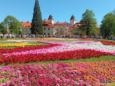 DRJ: Festiwal Kwiatów w Zamku Książ. Zobacz, jak się bawimy - 19