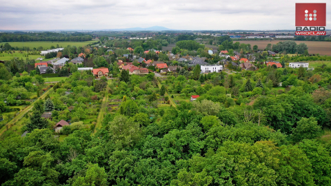 Przez budowę ostatniego odcinka WOW zlikwidują ogródki działkowe - 13