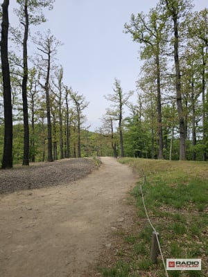 Historia zatacza koło, a park przy Zamku Książ nabiera dawnego blasku - 1