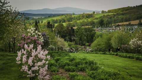 DRJ: Dni Funduszy Europejskich w Arboretum Wojsławice - 9