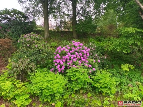 DRJ: Dni Funduszy Europejskich w Arboretum Wojsławice - 13