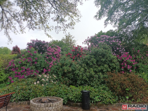 DRJ: Dni Funduszy Europejskich w Arboretum Wojsławice - 14