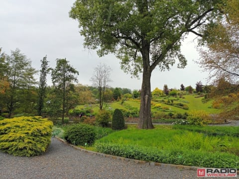 DRJ: Dni Funduszy Europejskich w Arboretum Wojsławice - 15