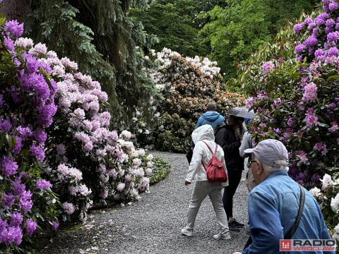 DRJ: Dni Funduszy Europejskich w Arboretum Wojsławice - 25