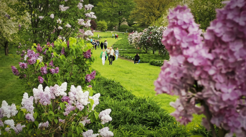 DRJ: Dni Funduszy Europejskich w Arboretum Wojsławice - 3