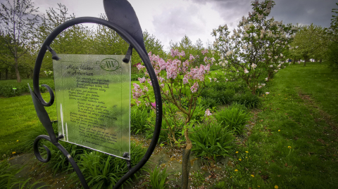 DRJ: Dni Funduszy Europejskich w Arboretum Wojsławice - 6