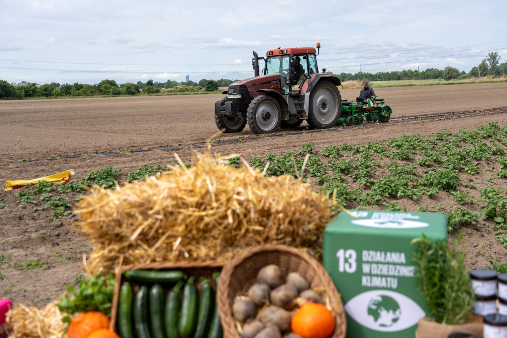 Wrocław pierwszym miastem w Polsce z własną... farmą – fot. mat. prasowe UM