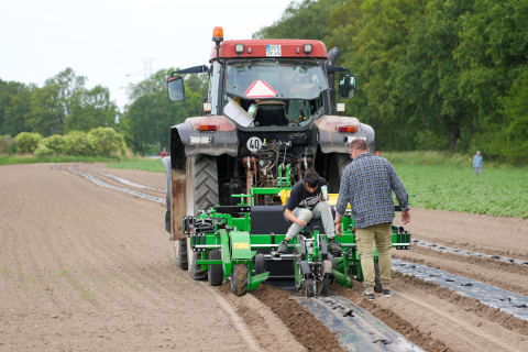 Wrocław pierwszym miastem w Polsce z własną... farmą - 11