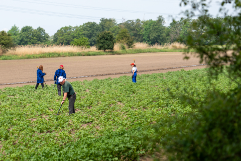 Wrocław pierwszym miastem w Polsce z własną... farmą - 12