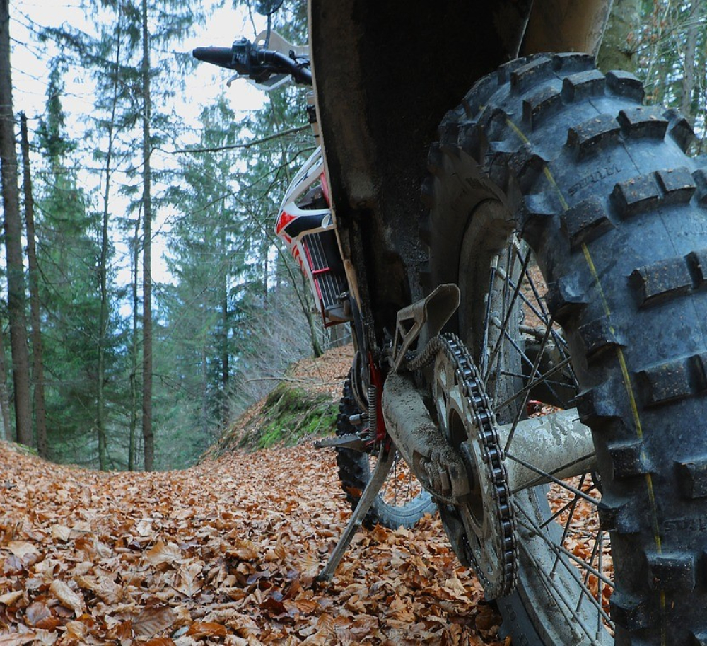 Motocykliści rozjeżdżają ścieżki i niszczą siedliska w lasach