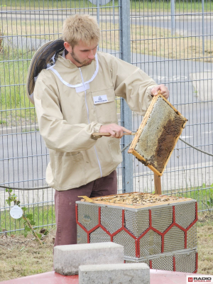 W Starej Kopalni czas na miodobranie... z recyklingu - 6