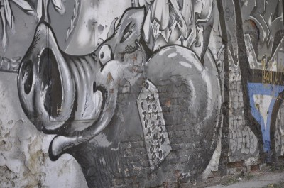 Coraz więcej murali we Wrocławiu - 7