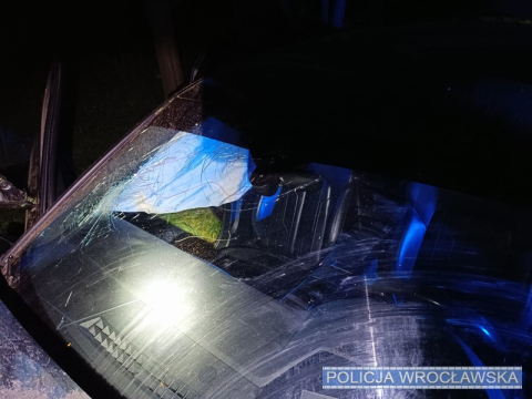eCall: Prowadził po pijaku, wpadł do rowu, a auto samo poinformowało służby - 2