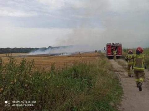 Pożar zboża w okolicach Ratynia - 1