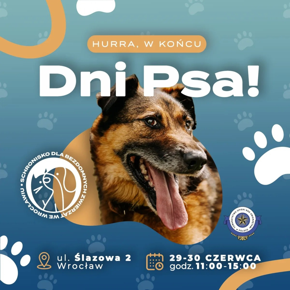 Wrocławskie schronisko zaprasza na festyn - fot. mat. prasowe schroniska Wrocław