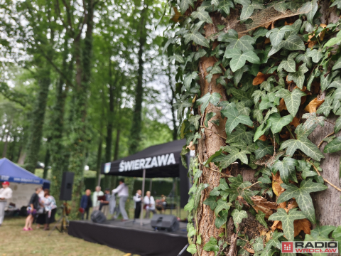 Wielkie świerzawskie Święto Krainy Wygasłych Wulkanów - 1